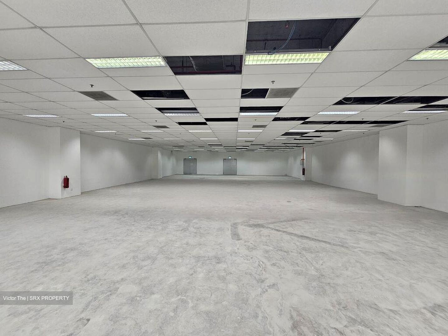 Techpoint (D20), Factory #455014351
